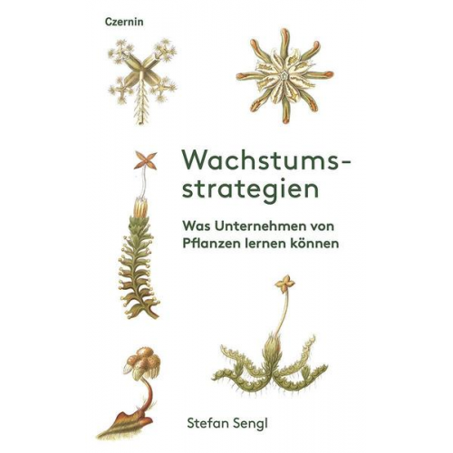 Stefan Sengl - Wachstumsstrategien