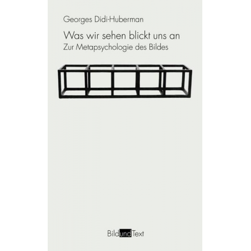 Georges Didi-Huberman - Was wir sehen blickt uns an