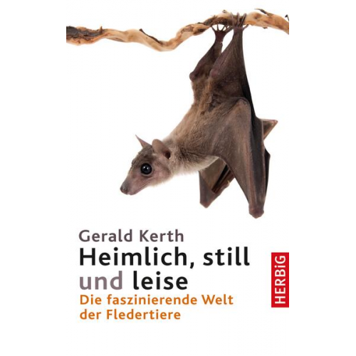 Gerald Kerth - Heimlich, still und leise