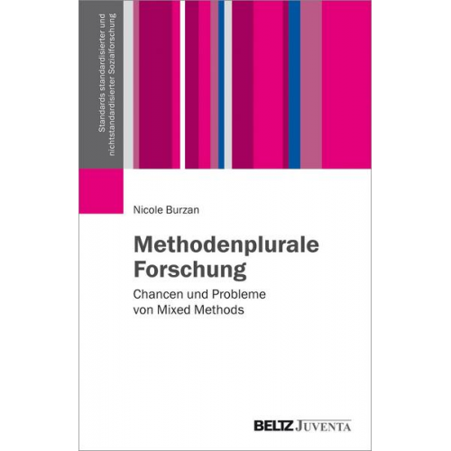 Nicole Burzan - Methodenplurale Forschung