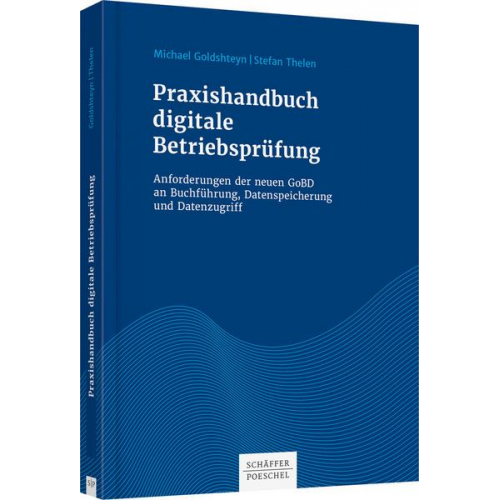 Michael Goldshteyn & Stefan Thelen - Praxishandbuch digitale Betriebsprüfung