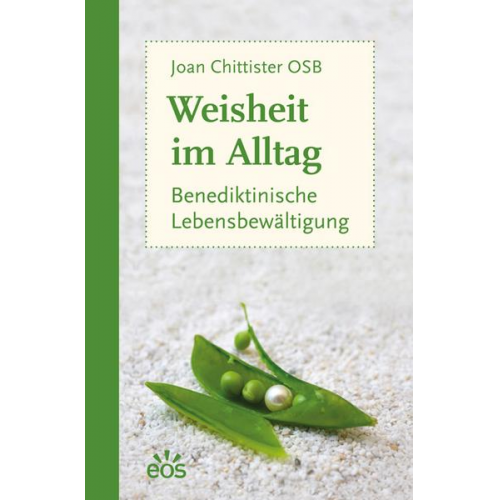 Joan Chittister - Weisheit im Alltag - Benediktinische Lebensbewältigung