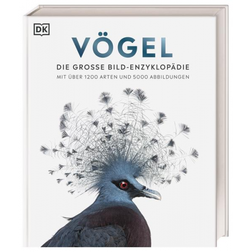 Vögel