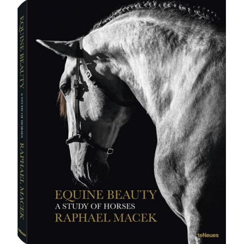 Raphael Macek - Equine Beauty