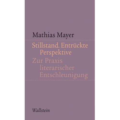 Mathias Mayer - Stillstand. Entrückte Perspektive