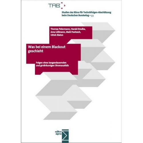 Thomas Petermann & Harald Bradke & Arne Lüllmann & Maik Poetzsch & Ulrich Riehm - Was bei einem Blackout geschieht