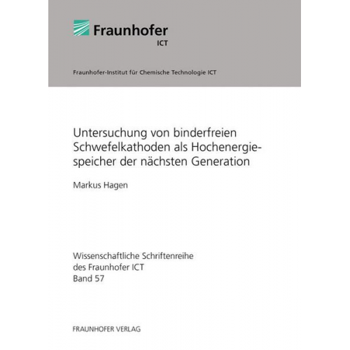 Markus Hagen - Untersuchung von binderfreien Schwefelkathoden als Hochenergiespeicher der nächsten Generation.