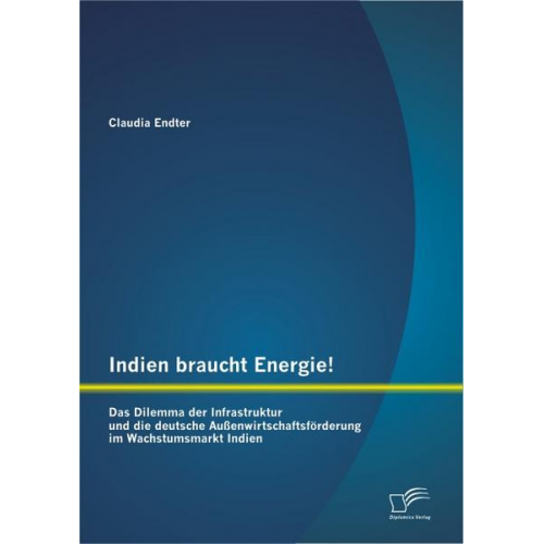 Claudia Endter - Indien braucht Energie! Das Dilemma der Infrastruktur und die deutsche Außenwirtschaftsförderung im Wachstumsmarkt Indien