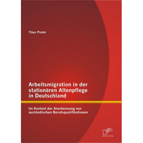 Tibor Pintér - Arbeitsmigration in der stationären Altenpflege in Deutschland im Kontext der Anerkennung von ausländischen Berufsqualifikationen