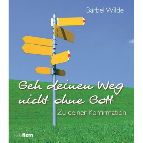 Bärbel Wilde - Geh deinen Weg nicht ohne Gott