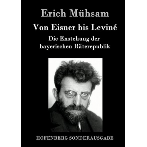 Erich Mühsam - Von Eisner bis Leviné