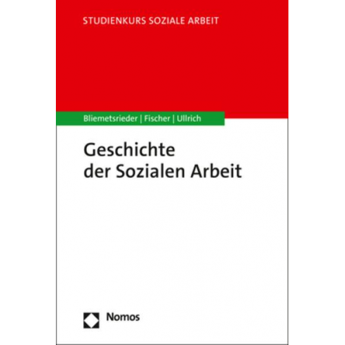 Sandro Bliemetsrieder & Gabriele Fischer & Annette Ullrich - Geschichte der Sozialen Arbeit