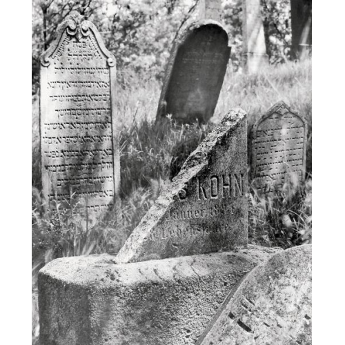 Clemens Schülgen - Der jüdische Friedhof von Mikulov / Židovsky Hrbitov v Mikulove