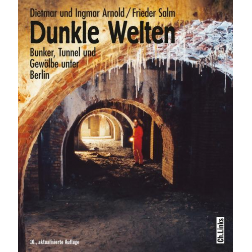 Dietmar Arnold & Ingmar Arnold & Frieder Salm - Dunkle Welten