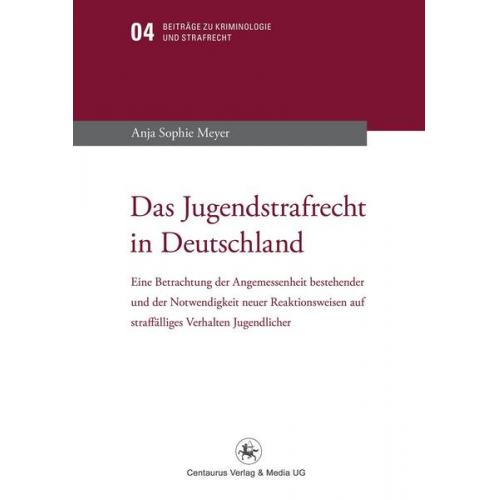 Anja Sophie Meyer - Das Jugendstrafrecht in Deutschland