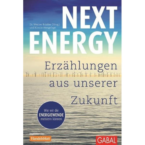 Kirstin Hengelage - Next Energy