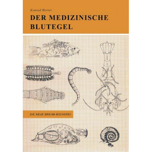 Konrad Herter - Der medizinische Blutegel und seine Verwandten