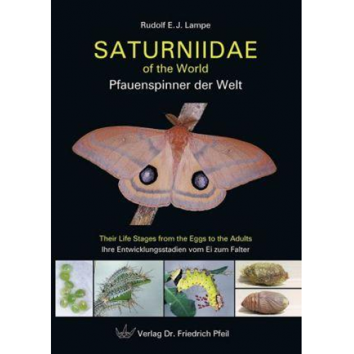 Rudolf E. Lampe - Saturniidae of the World – Pfauenspinner der Welt