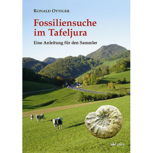 Ronald Ottiger - Fossiliensuche im Tafeljura