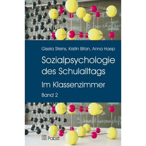 Gisela Steins & Kristin Bitan & Anna Haep - Sozialpsychologie des Schulalltags