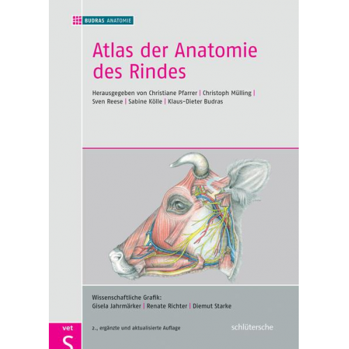 Atlas der Anatomie des Rindes