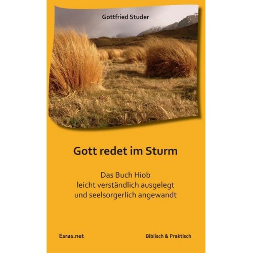 Gottfried Studer - Gott redet im Sturm