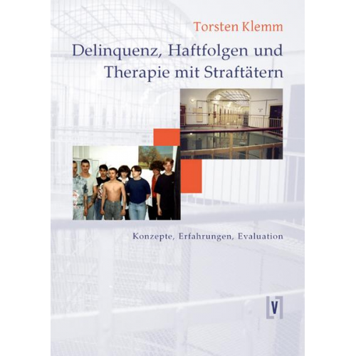 Torsten Klemm - Delinquenz, Haftfolgen und Therapie mit Straffälligen