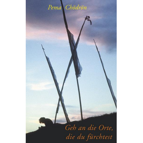 Pema Chödrön - Geh an die Orte, die du fürchtest