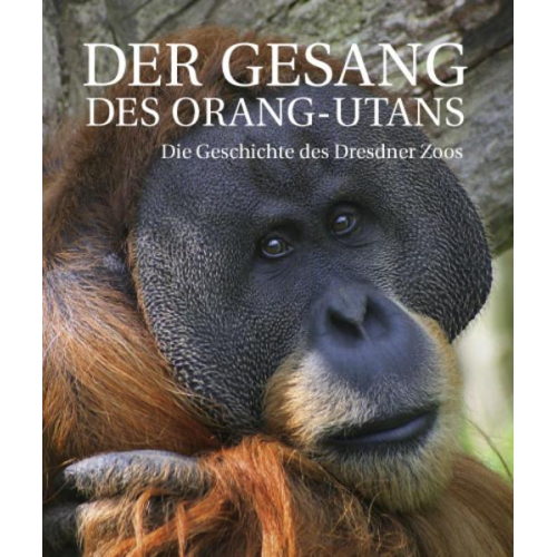 Mustafa Haikal & Winfried Gensch - Der Gesang des Orang-Utans