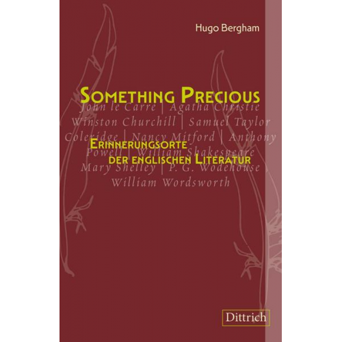 Hugo Bergham - Something Precious