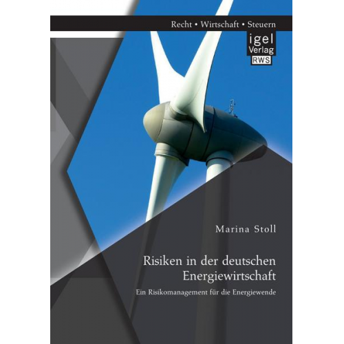 Marina Stoll - Risiken in der deutschen Energiewirtschaft. Ein Risikomanagement für die Energiewende
