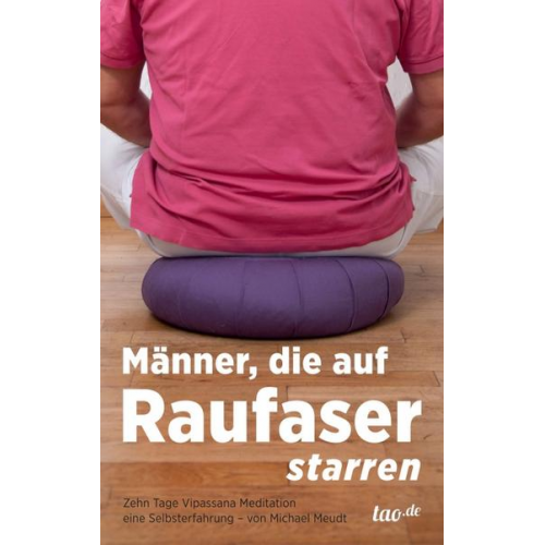 Michael Meudt - Männer, die auf Raufaser starren