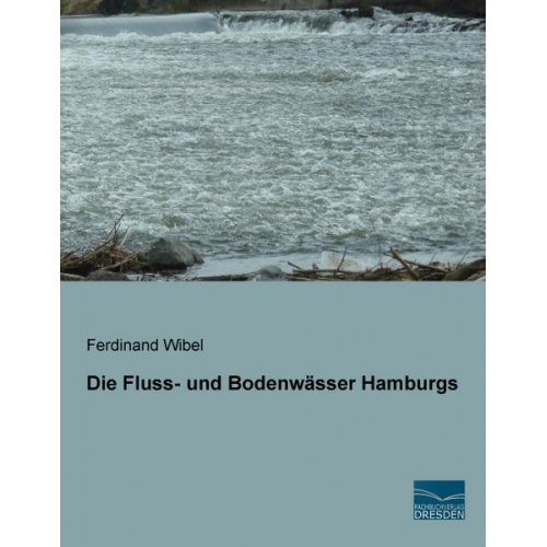 Ferdinand Wibel - Wibel, F: Fluss- und Bodenwässer Hamburgs