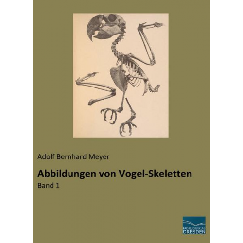 Abbildungen von Vogel-Skeletten