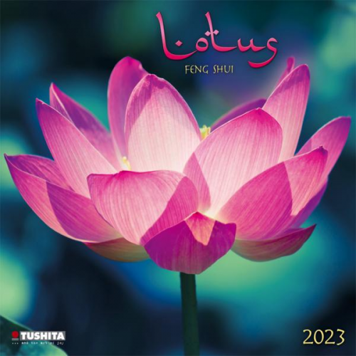 Lotus Feng Shui 2023