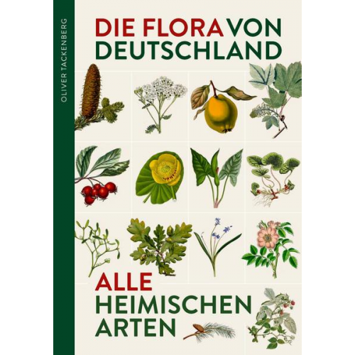 Oliver Tackenberg - Die Flora von Deutschland. Alle heimischen Arten.