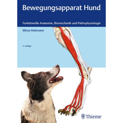 Mima Hohmann - Bewegungsapparat Hund