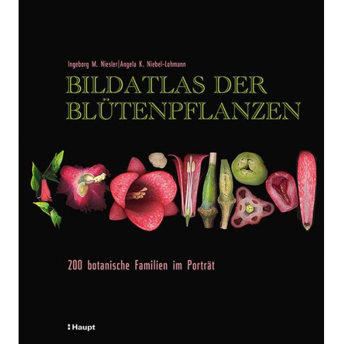 Ingeborg M. Niesler & Angela K. Niebel-Lohmann - Bildatlas der Blütenpflanzen