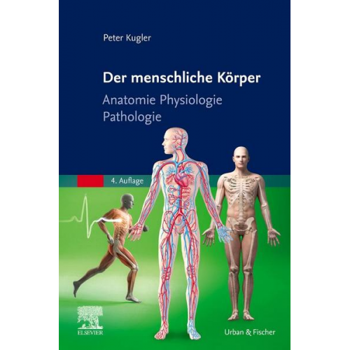 Peter Kugler - Der menschliche Körper
