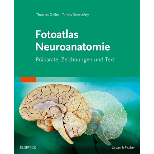 Thomas Deller & Tamás Sebestény - Fotoatlas Neuroanatomie