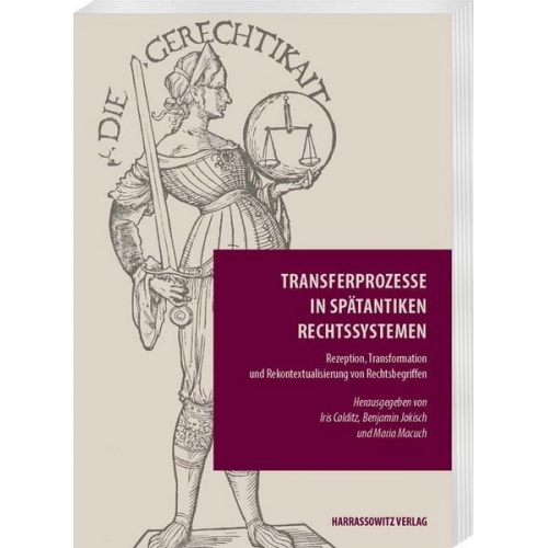 Transferprozesse in spätantiken Rechtssystemen