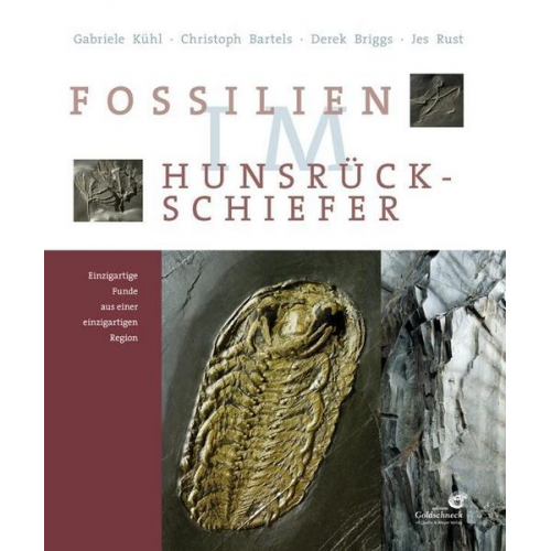 Gabriele K. Kühl & Christoph Bartels & Derek Briggs & Jes Rust - Fossilien im Hunsrück-Schiefer