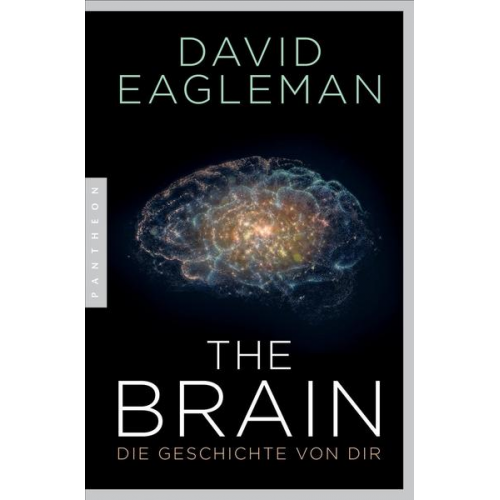 David Eagleman - The Brain