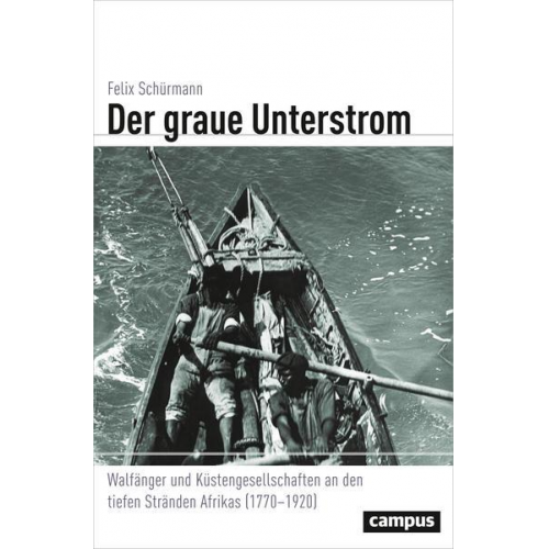 Felix Schürmann - Der graue Unterstrom