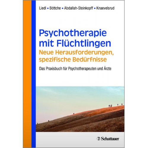 Psychotherapie mit Flüchtlingen - neue Herausforderungen, spezifische Bedürfnisse