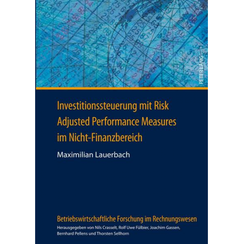 Maximilian Lauerbach - Investitionssteuerung mit Risk Adjusted Performance Measures im Nicht-Finanzbereich