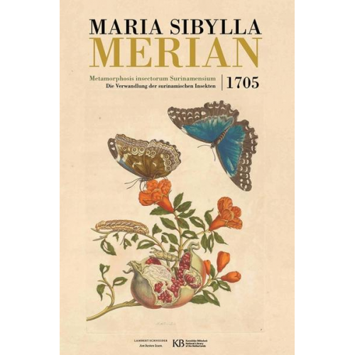 Maria Merian - Metamorphosis insectorum Surinamensium