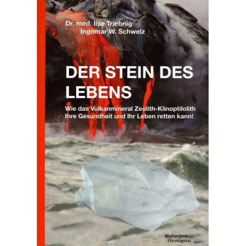 Ilse Triebnig & Ingomar W. Schwelz - Der Stein des Lebens