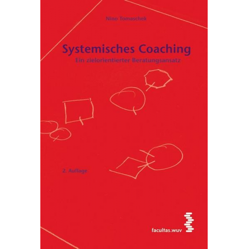 Nino Tomaschek - Systemisches Coaching