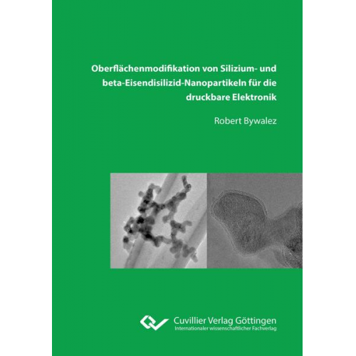 Robert Bywalez - Oberflächenmodifikation von Silizium‐ und beta‐Eisendisilizid‐Nanopartikeln für die druckbare Elektronik